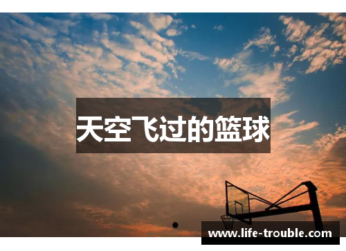 天空飞过的篮球
